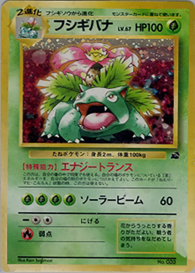 PSA8 フシギバナ　旧裏面　イントロパック　フシギダネデッキ フシギバナ （イントロパック）のシングルカード販売|ポケモンカード