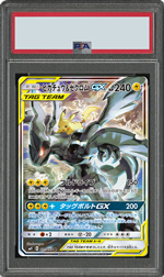 ピカチュウ&ゼクロムGX